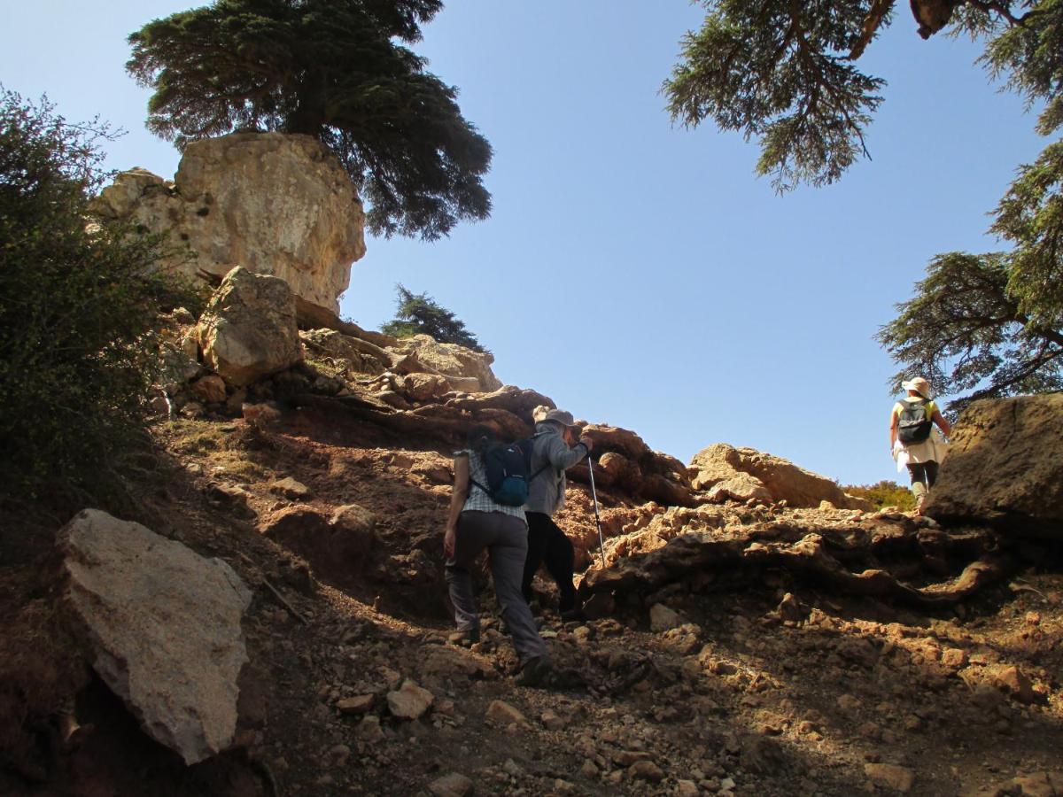 Gite Skoura Caid Bou Malla Esterno foto