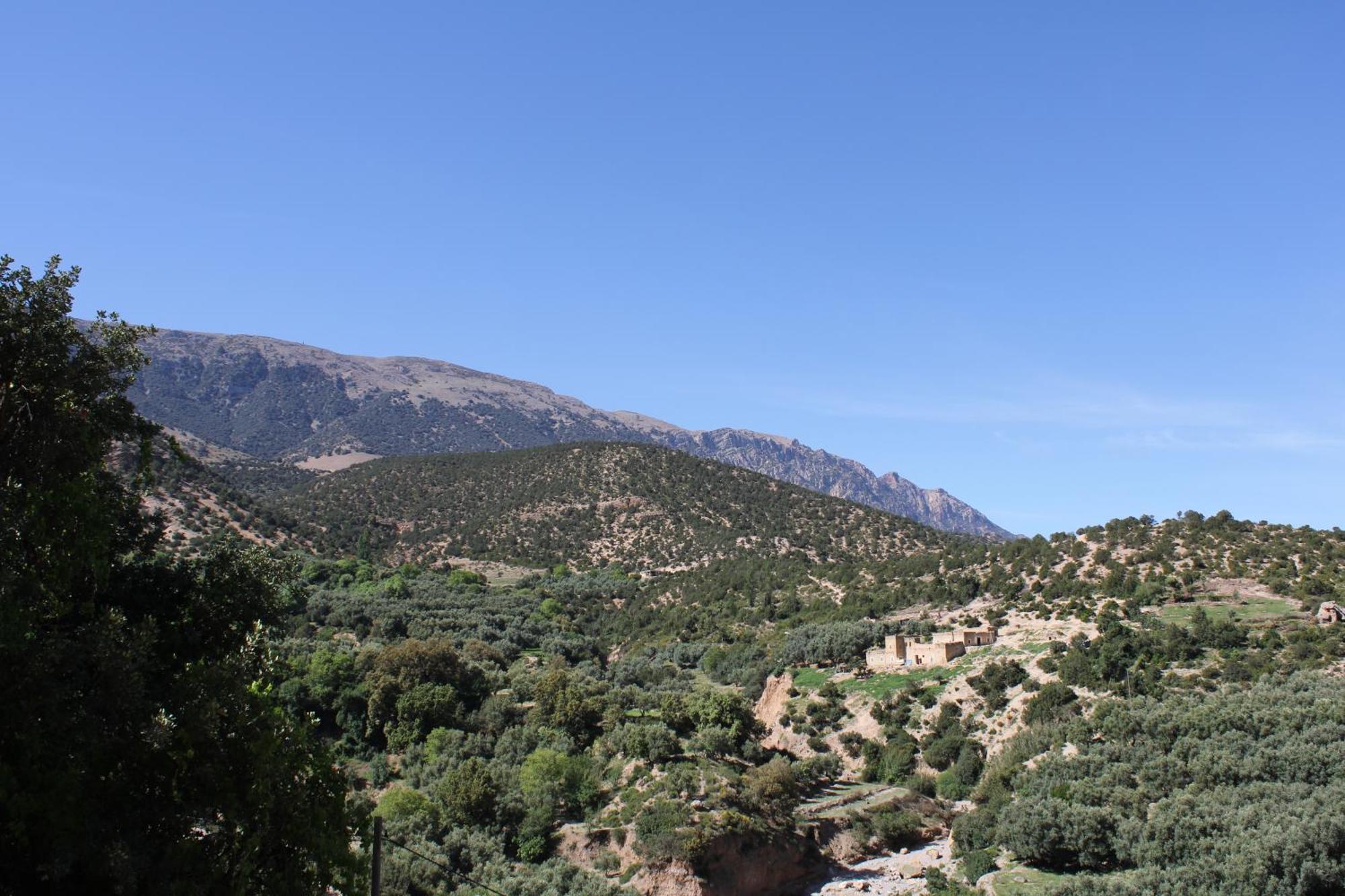 Gite Skoura Caid Bou Malla Esterno foto