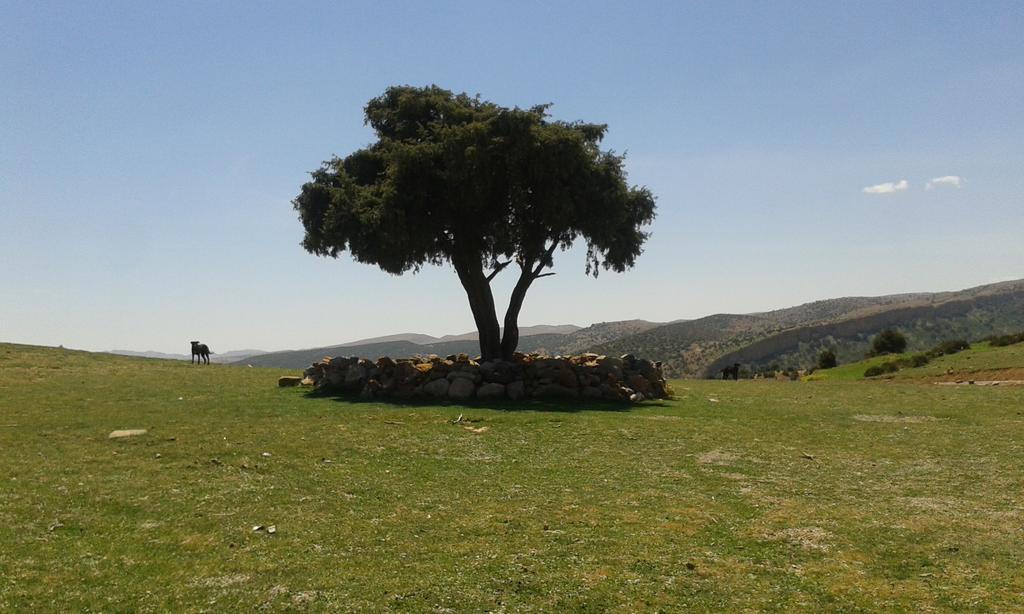 Gite Skoura Caid Bou Malla Esterno foto
