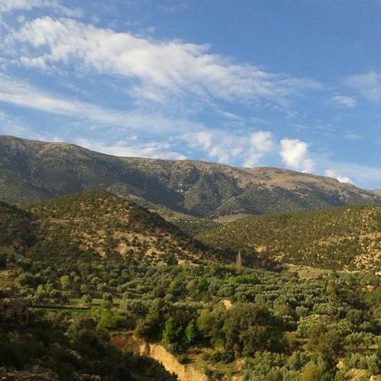Gite Skoura Caid Bou Malla Esterno foto